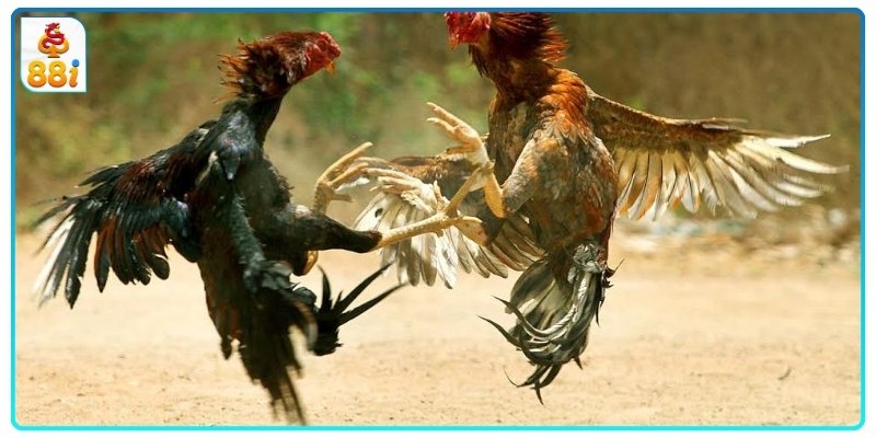 Kết hợp thêm chế độ dinh dưỡng và sinh hoạt khoa học